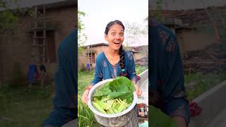 Aaj khana chulhe par banega😍|Miss.Hosiyar|#shorts #vlog #minivlog #329