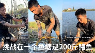 挑戰在一個魚塘逮200斤鱔魚，沒想到裏面盡是一斤重一條的 （上集）#捕魚 #viralvideo