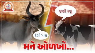 દેશી ગાય અને જર્શી પશુ નો ભેદ ।। Difference between Deshi gaay and Jersey cattle #ગાયખેતીઅભિયાન