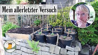 Nach so vielen Fehlschlägen - endlich die richtige Anbau Methode für 🥔 Kartoffeln im Hausgarten?