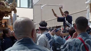 鉄砲洲稲荷神社　例大祭　連合神輿渡御　2024/05/04  b12