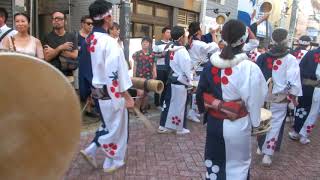 東京高円寺名物阿波おどり　某（なにがし）連