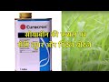 syngenta curacron tata jashn profenofos 50% ec insecticide complete information