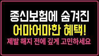 종신보험의 진실! 숨겨진 엄청난 혜택 설계사들도 모릅니다