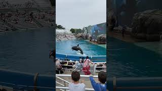 Sea World San Diego May, 2023