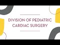 Division of Pediatric Cardiac Surgery