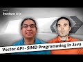 Vector API: SIMD Programming in Java