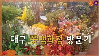 대구 가을 꽃시장에 다녀왔어요^^4K UHD