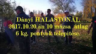 Haltelepítés  Dányi Tó - 2017.10.20.