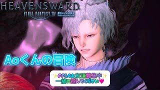 【FF14 蒼天のイシュガルド編】Aoくんの冒険#50 🌱Meteor/Beliasにて冒険中🌱※無言配信