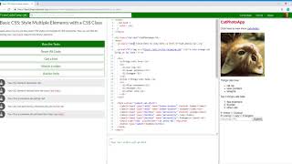 Basic CSS Style Multiple Elements with a CSS Class 4/44 Learn freeCodeCamp