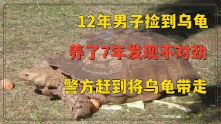 12年男子捡到乌龟，养了7年发现不对劲，警方赶到将乌龟带走