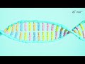 rna – the future of medicine