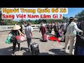 Người Trung Quốc Đổ Xô Sang Việt Nam Làm Gì ? Clip Không Cắt Ghép Chỉnh sửa