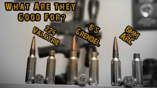 6.5 Grendel, 224 Valkyrie and 6mm ARC | What Are They Good For?