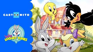 Baby Looney Tunes | Kids Songs | Cartoonito UK