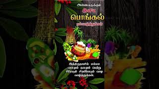 தைப்பொங்கல் 2025 #tamil #music