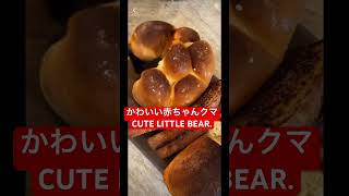 かわいい赤ちゃんクマ CUTE LITTLE bear. #comedy #automobile #viralvideo