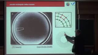 Masayasu Mimura / Application of reaction-diffusion systems to biological and chemical systems 3