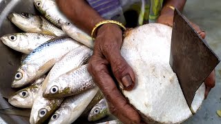 মান কচু দিয়ে বাটা মাছের ঝোল যার স্বাদ অসাধারণ | Maan Kochu Diye Bata Macher Jhol Recipe In Bengali