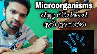 Microbiology - හිතකර ක්ෂුද්‍ර ජීවීන් (Microorganisms)