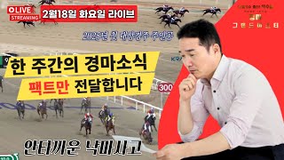 [경마] 이관호조교사,씨씨웡기수 우승 , 정도윤기수 낙마 부상 , 글로벌히트 출전 예정