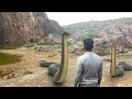Anaconda snake 4 | In Real life HD Video