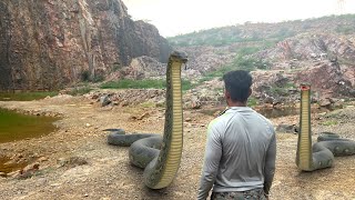 Anaconda snake 4 | In Real life HD Video