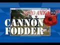 Cannon Fodder | AMIGA CD32 FMV INTRO THEME