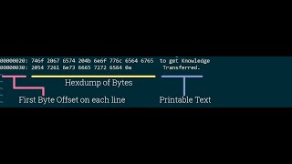 Convert to hexadecimal using Hexdump