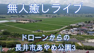 無人癒しライブドローンからのあやめ公園 3