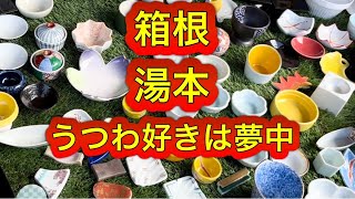 【箱根湯本うつわの店「わわ」へ】日本の工芸品の焼き物の器がずらり！うつわ好きならたまらない！夢中で楽しいうつわ選びをしてきました