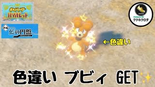 【ポケモンSV】Shiny Magby GET✨ Magby → Magmar Evolve 🔥