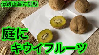 【伝統工芸】庭にキウイフルーツ【Traditional crafts】