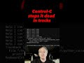 Runaway Python script!!! How to stop it 🐍 #python #shorts
