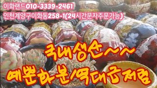 특집/발원공방/가성비짱/국내생산   다육이화분/구경오세요    다남다육010-3339-2461