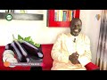 les vertus de l aubergine pr ousmane ndiaye sama xalaat tv