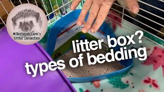 Setting up your hedgehog cage | Types of bedding to use in the litter box or cage bottom