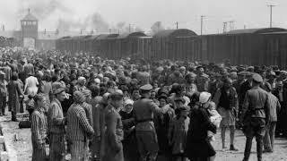 The Holocaust | Wikipedia audio article