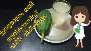 Papaya drink for Uric acid | യൂറിക്കാസിഡി നുള്ള പ്രതിവിധി  LINI'S FOOD CORNER