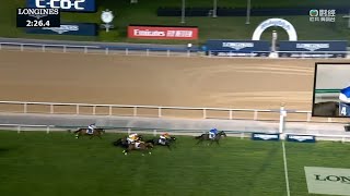 杜拜司馬經典賽 Dubai Sheema Classic 一級賽 G1 2024-03-30 2410m 桀驁之戀 Rebel's Romance 美丹馬場 Meydan Racecourse