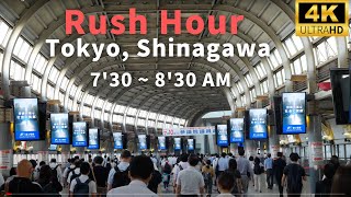 [4K ・Stereo Sound]  Morning Rush hour in Shinagawa, one of Tokyo's busiest station