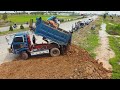 wonderful technique operator filling land by bulldozer komatsu d31p push soil with 5ton trucks