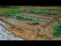 কৃষি জমিতে ভিন্ন পদ্ধতিতে পানি সেচ দিলাম। farming agriculture