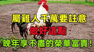 屬雞人千萬要註意，做好這點，後半生享不盡的榮華富貴！#民間俗語#中國文化#國學#國學智慧#佛學知識#人生感悟#人生哲理#佛教故事