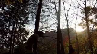 2014.12.01 大山登山 オヤジハイキング 紅葉