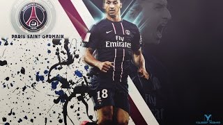 Zlatan Ibrahimovic - Paris Saint Germain 2015/16 HD