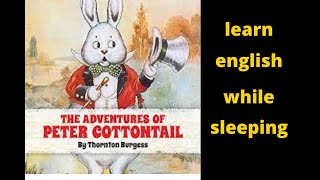 The Adventures of Peter Cottontail | learn english while sleeping  by story| audio book