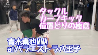 カーフキック・タックルの位置　青木真也MMA