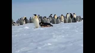 Time Zones 2 | Earth's Coldest Place